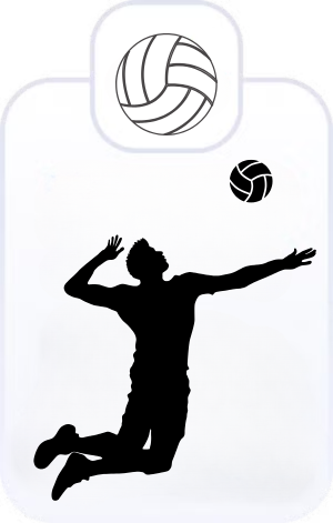 كرة الطائرة